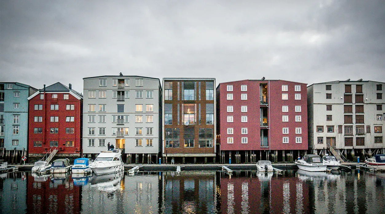 Effektive SEO-tjenester for bedrifter i Trondheim