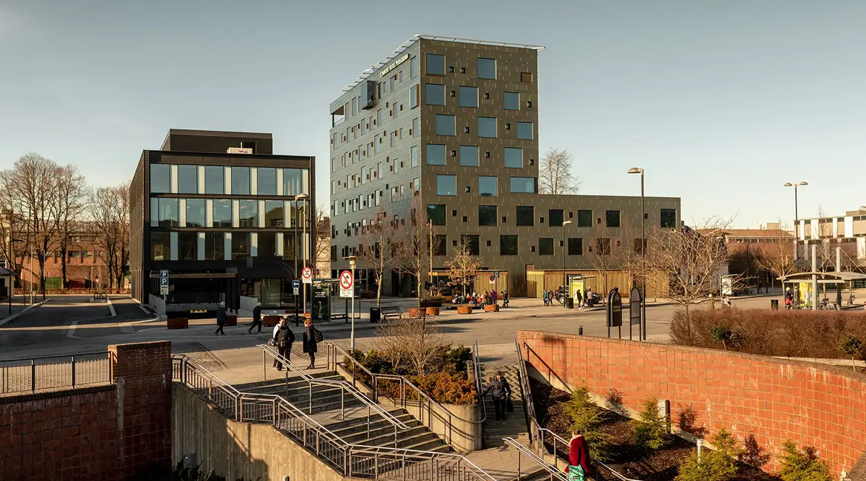 Lokal SEO Porsgrunn – Synliggjør din bedrift i lokale søk og få flere kunder.
